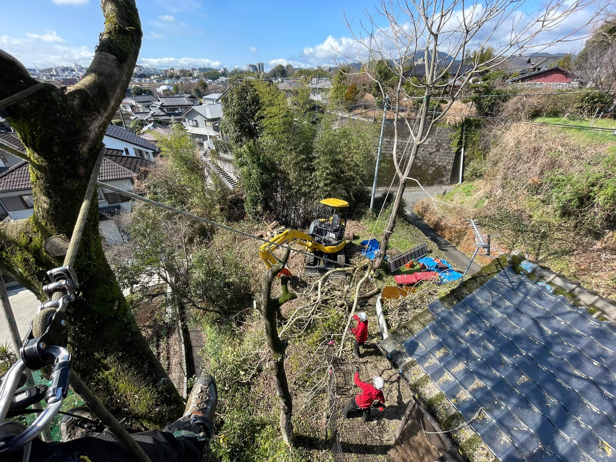 住宅裏手から切った枝を車両の入る箇所までロープを使って集材している様子